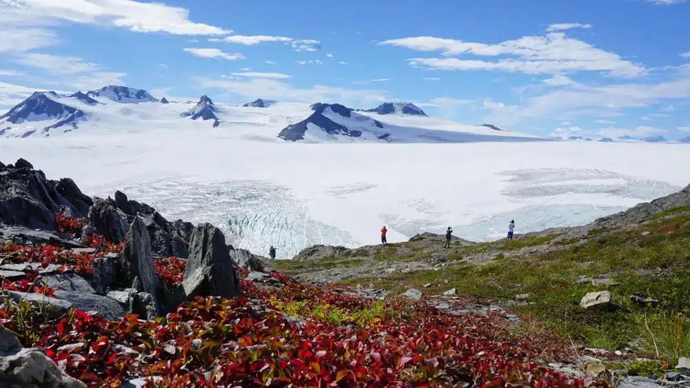 Hikers take in mountains rising from glacial ice